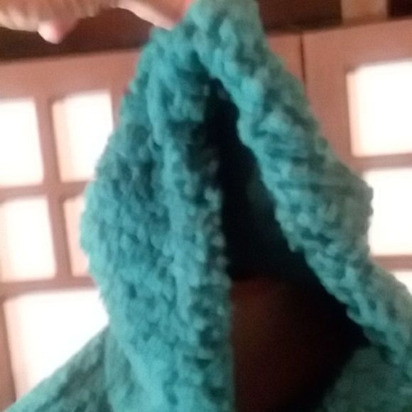 Champion teddy bear hoodie deep green sz M - Picture 2 of 9